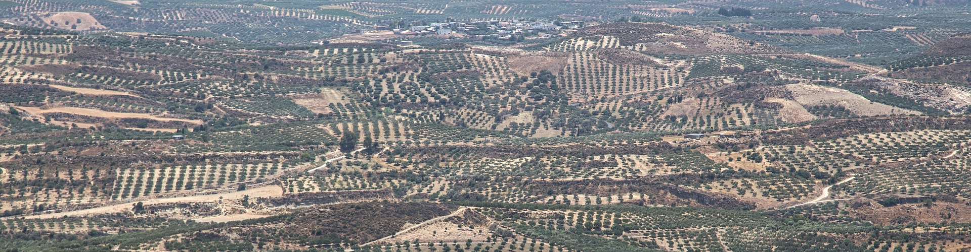 Bienvenido a la tienda 
